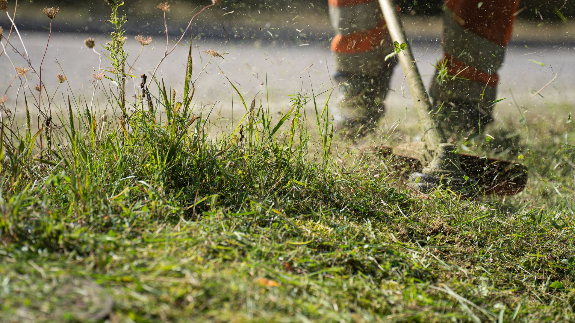 Commercial groundskeeping Las Vegas